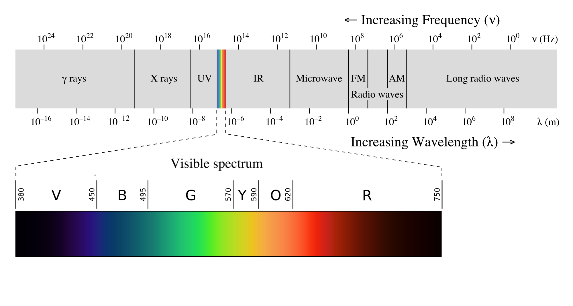 The electromagnetic light spectrum is important cannabis cultivation lighting.