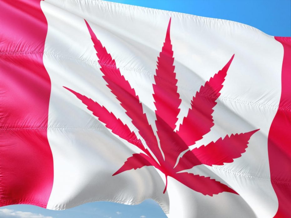 GrowerIQ & the Canadian Cannabis Act