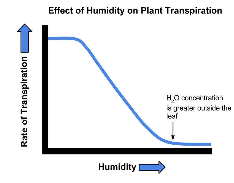 Effect of humidity on plant transpiration