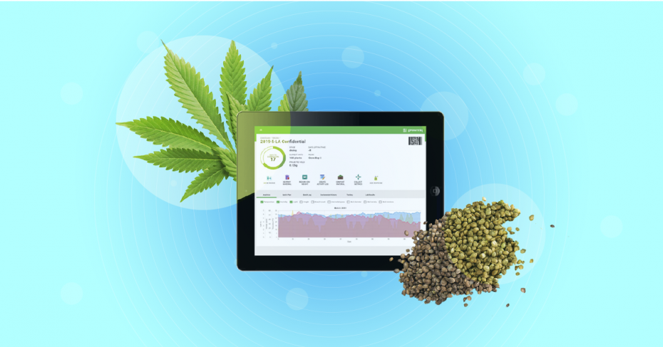 GrowerIQ Seed to Sale, Cannabis Cultivation Software, and Beyond