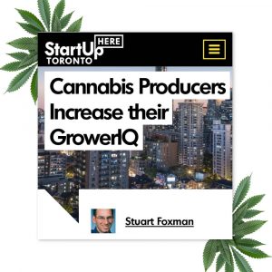 StartUp Here Profile: Cannabis Producers Increase their GrowerIQ