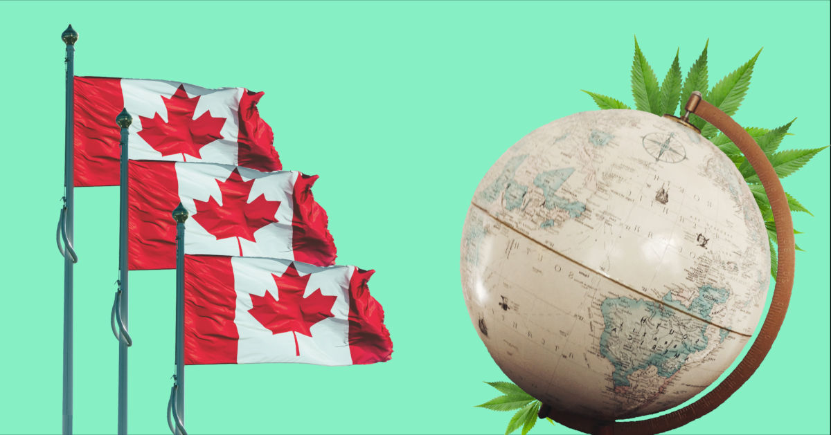 GrowerIQ Can Help You Access Cannabis Funding from the Trade Commissioner Service