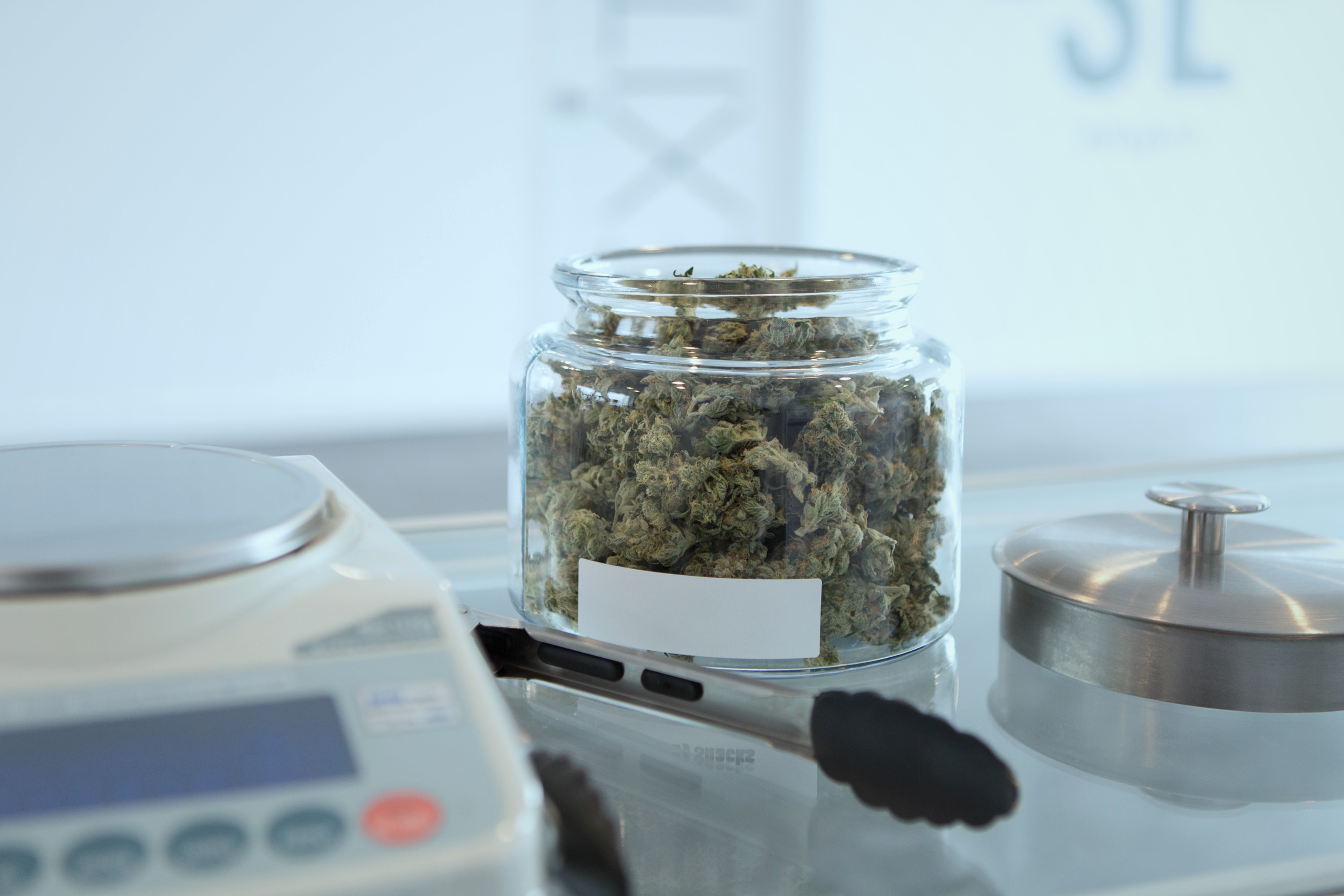 GrowerIQ's cannabis consultants can write custom SOPs for your facility in areas from Cultivation & Production, all the way through to Sanitation. Get started today.