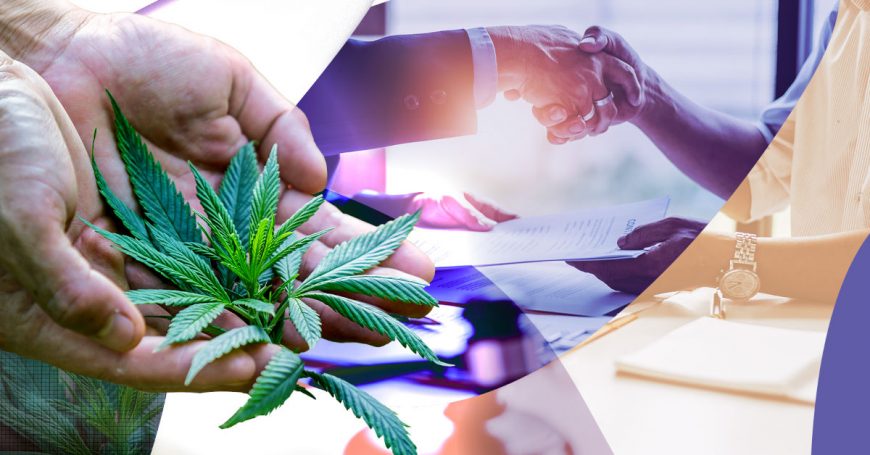 GrowerIQ's Consultants Help You to Become a Licensed Producer