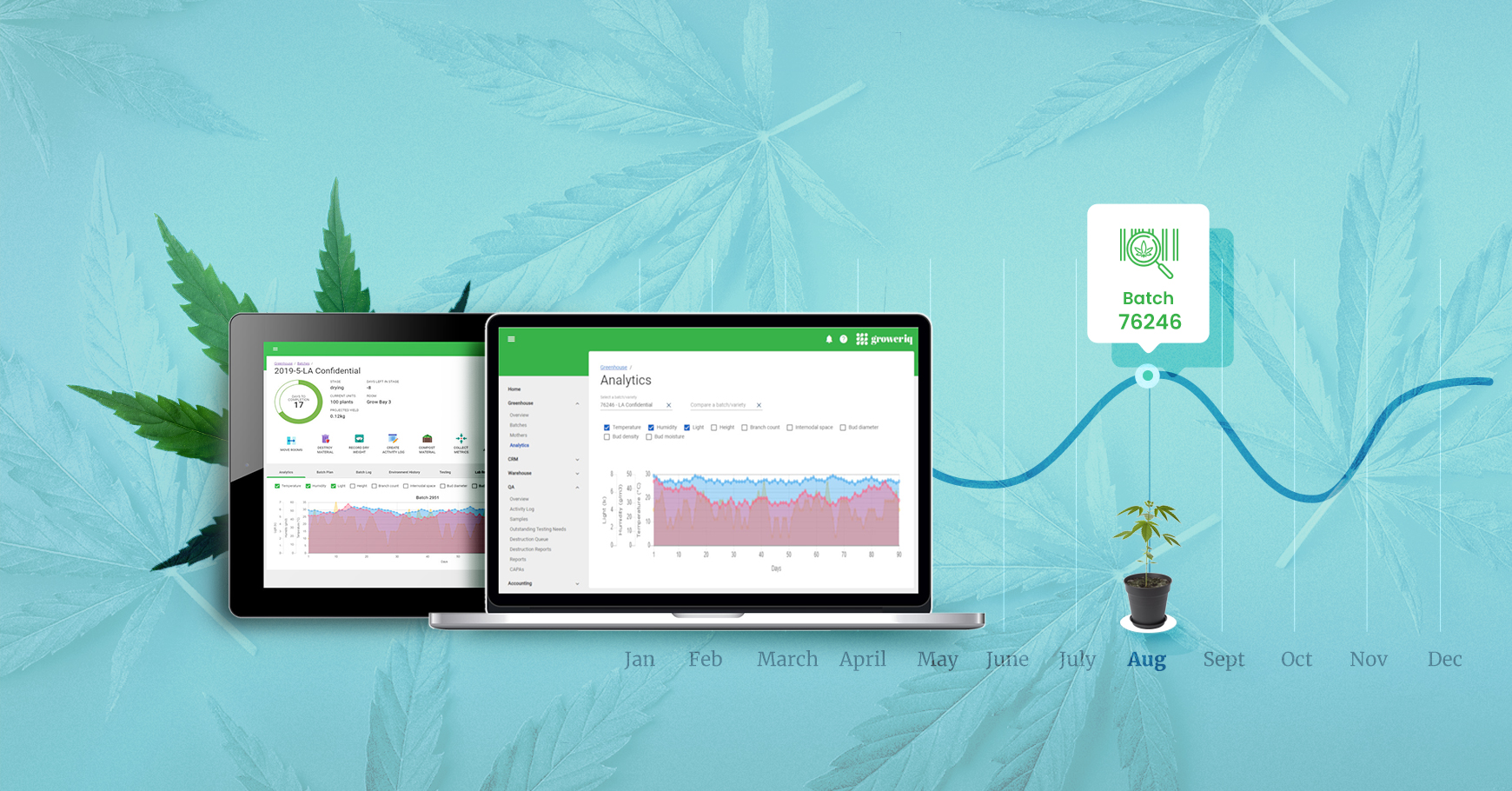 Wholesale Cannabis - Seed to Sale Cannabis Software