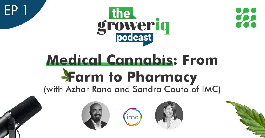 Medical Cannabis: From Farm to Pharmacy (with Azhar Rana and Sandra Couto of IMC)