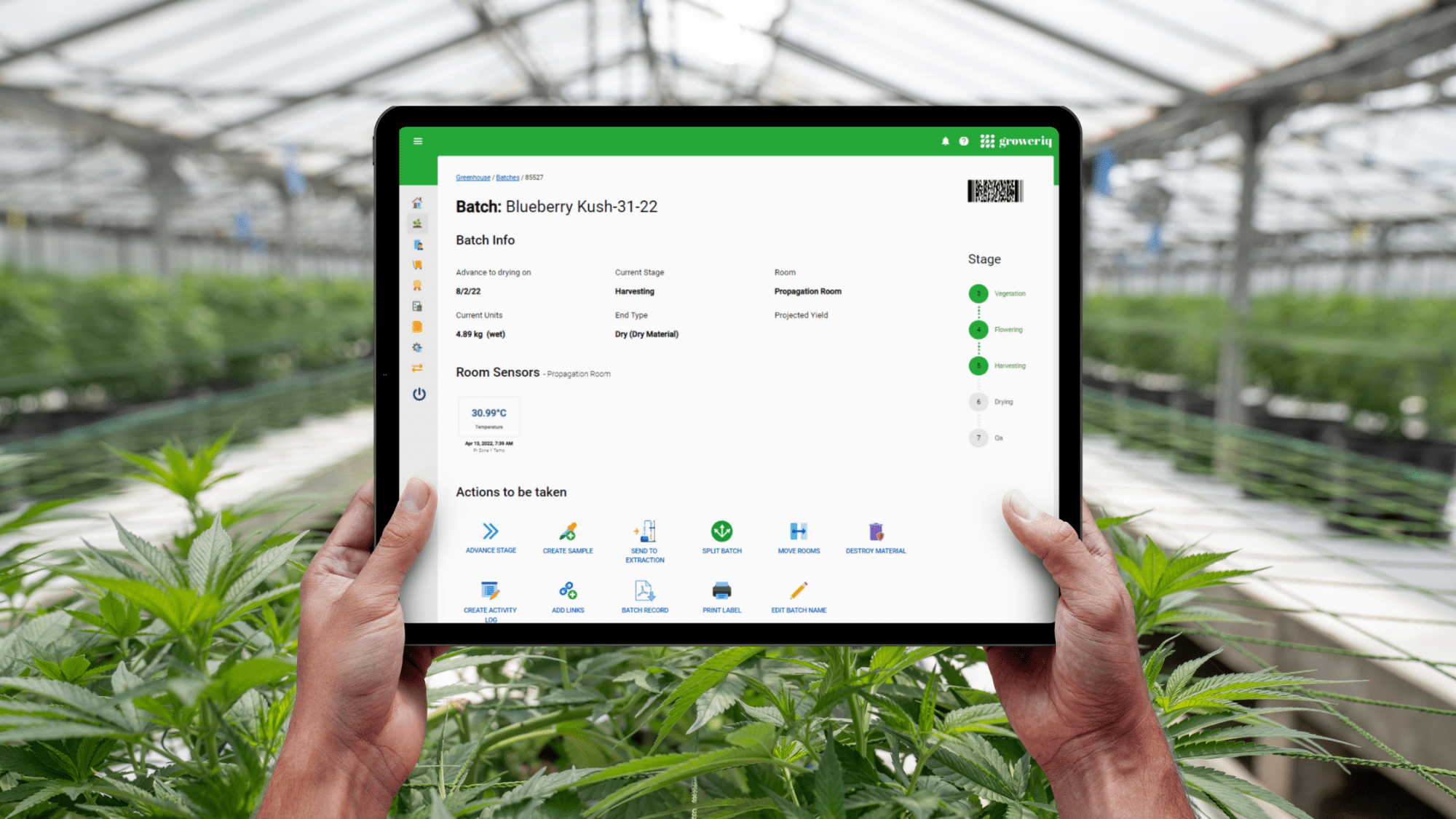 GrowerIQ's cannabis manufacturing software includes a Master Batch Record overview screen that highlights all information pertaining to your batch in one place.