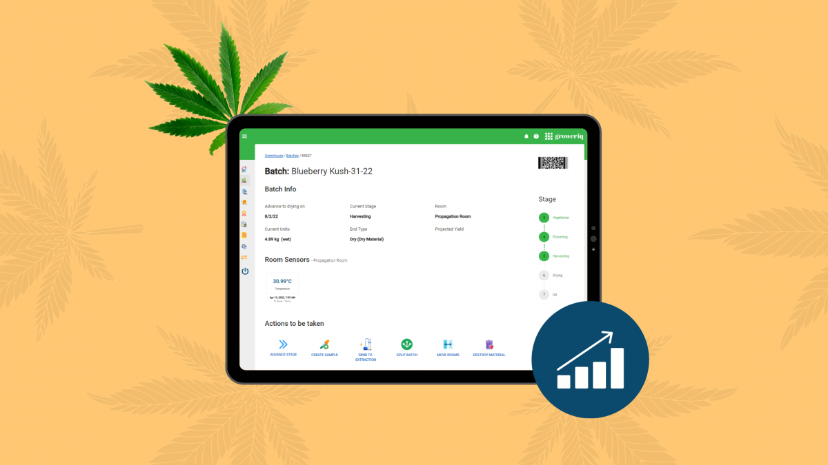 Enhance your cannabis facility’s ROI with a seed-to-sale software, GrowerIQ shares real results from a customer’s cannabis investment journey