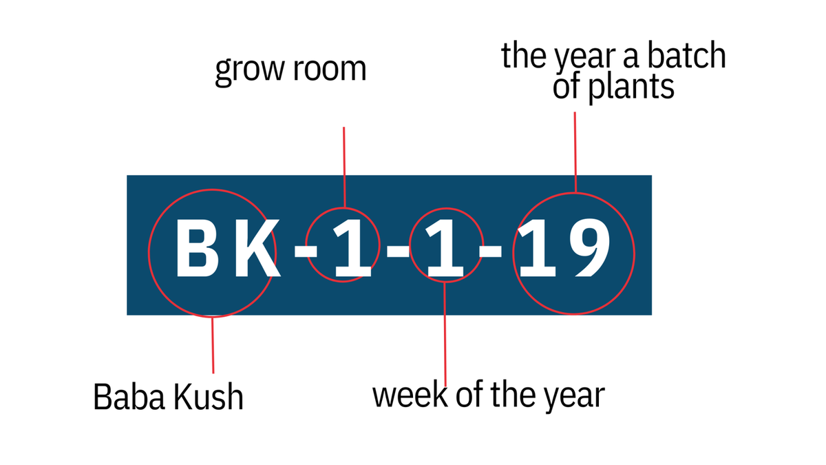 The best way to go about creating a cannabis batch numbering system is to use software that allows you to keep track of production and sales.