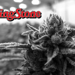 El CEO de GrowerIQ escribe para Rolling Stone: Normas BFP para el Cannabis & El Mercado Mundial