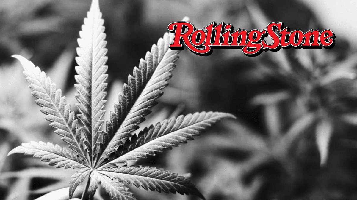Andrew Wilson, a veteran of the cannabis industry and GrowerIQ's CEO, has recently published an article for Rolling Stone that predicts the future development of the cannabis industry in 2023.
