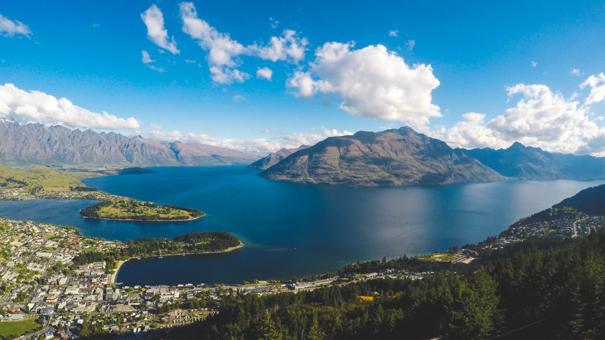 How to get a Cannabis License in New Zealand