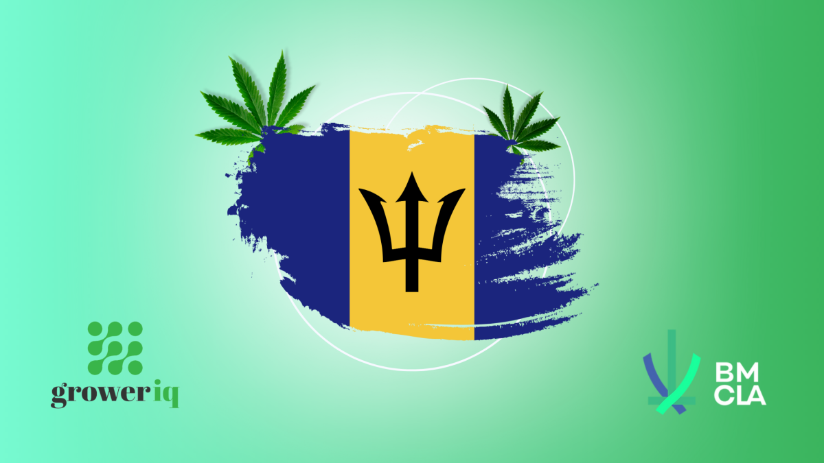 The Barbados Medicinal Cannabis Licensing Authority (BMCLA) selected GrowerIQ as its technology partner, which will track all cannabis in Barbados.