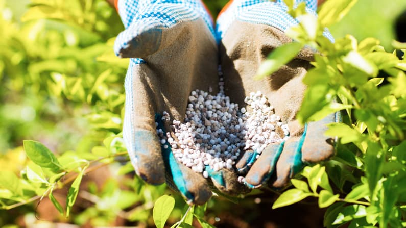 Best Fertilizer For Marijuana - NPK Best Fertilizer For Marijuana - NPK