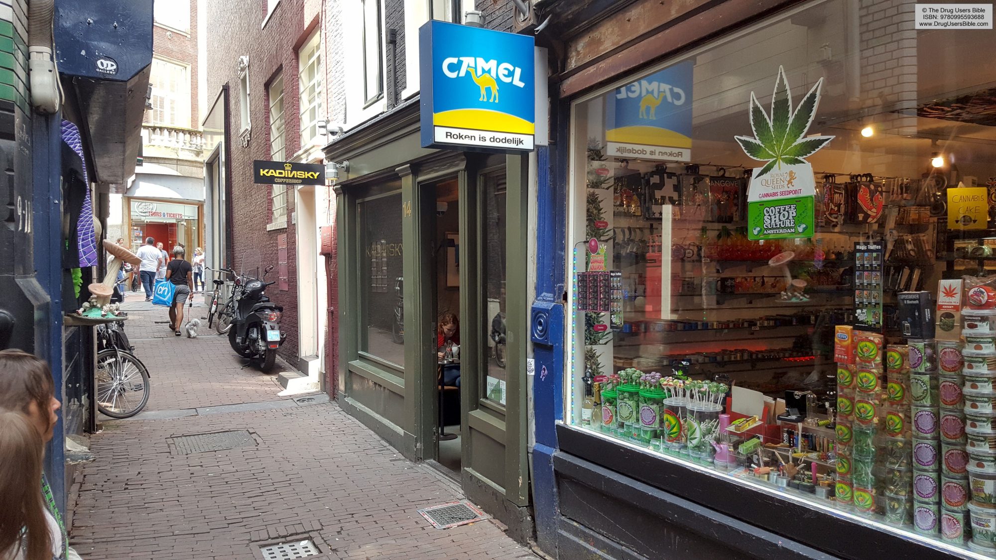 Wholesale Cannabis - Netherlands Market