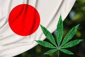 how to get a cannabis license in japan - 1