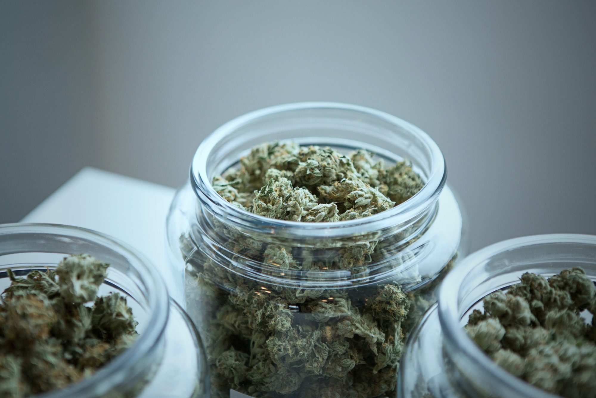jars of cannabis - Cannabis Business Consultants