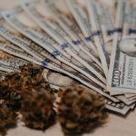 Ce que recherchent les investisseurs providentiels dans le domaine du cannabis et 5 investisseurs providentiels actifs
