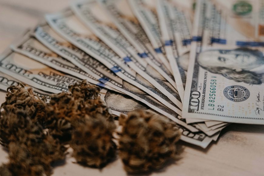 cannabis with money -