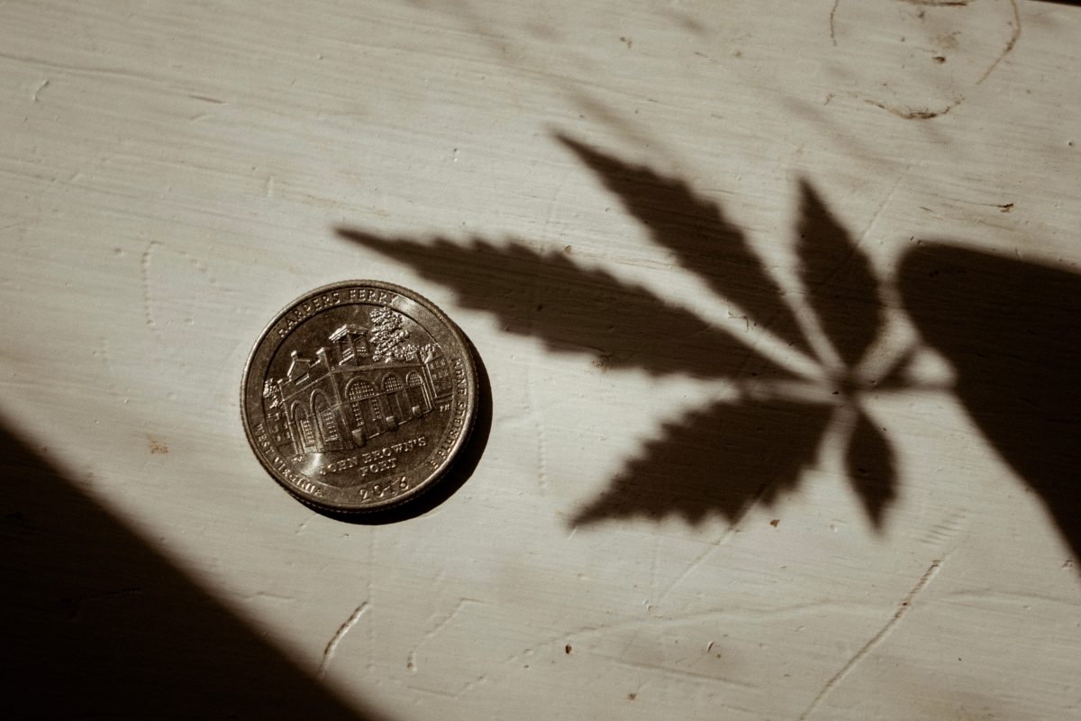 coin near to shade of cannabis - Cannabis Venture Capital
