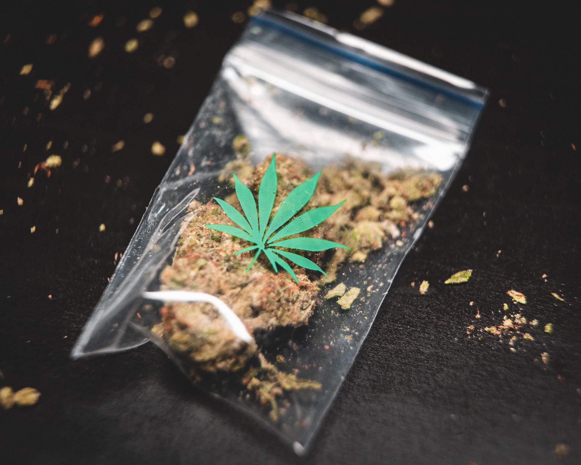 Cannabis dans l'emballage - Modèle des PONs pour la culture