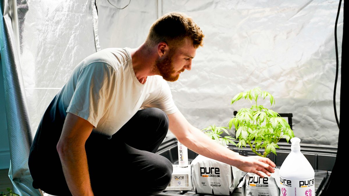 man inside a grow room with Indoor Grow Room Supplies List