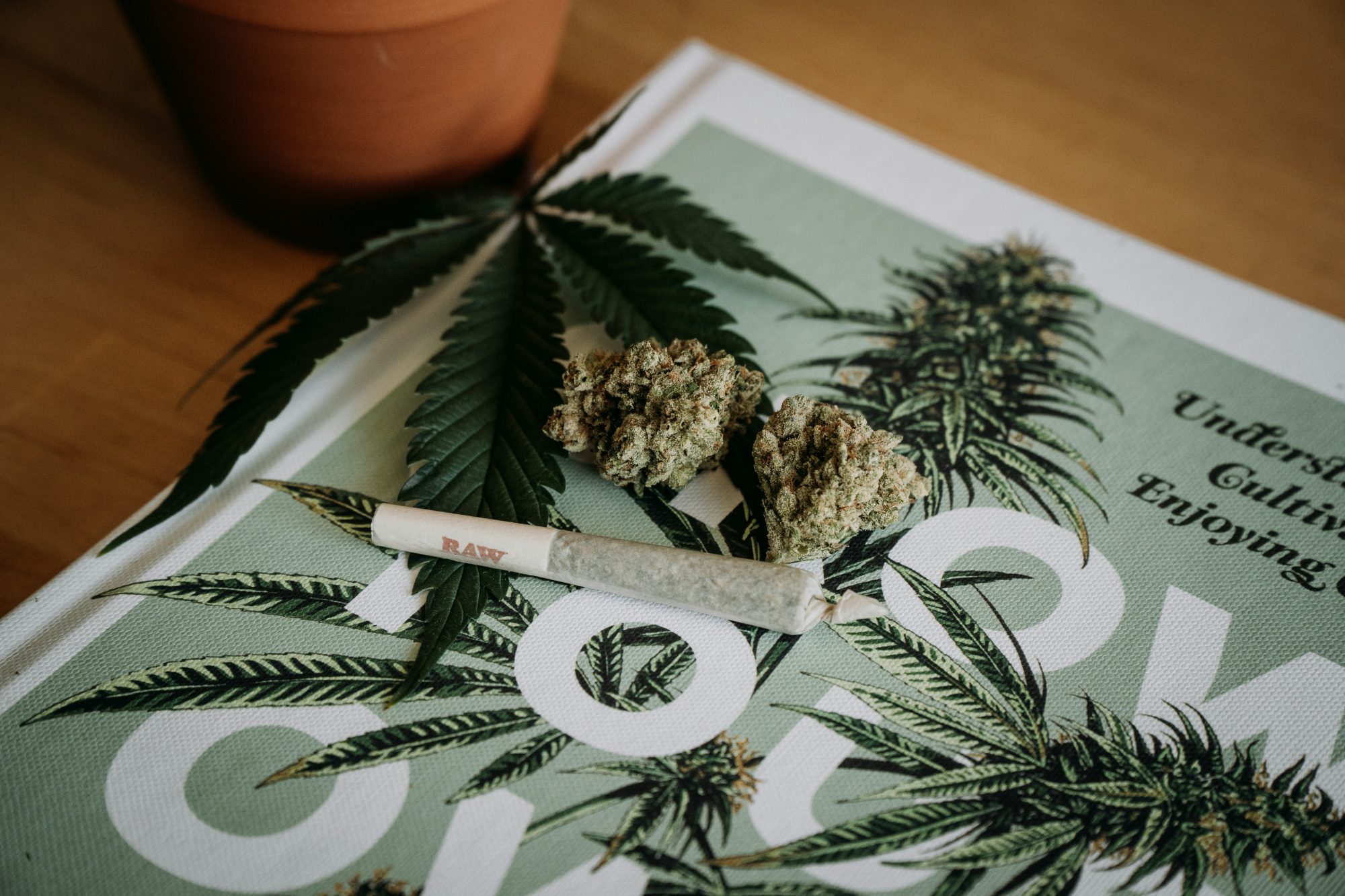 Rolled Joint - Cannabis Club Malta