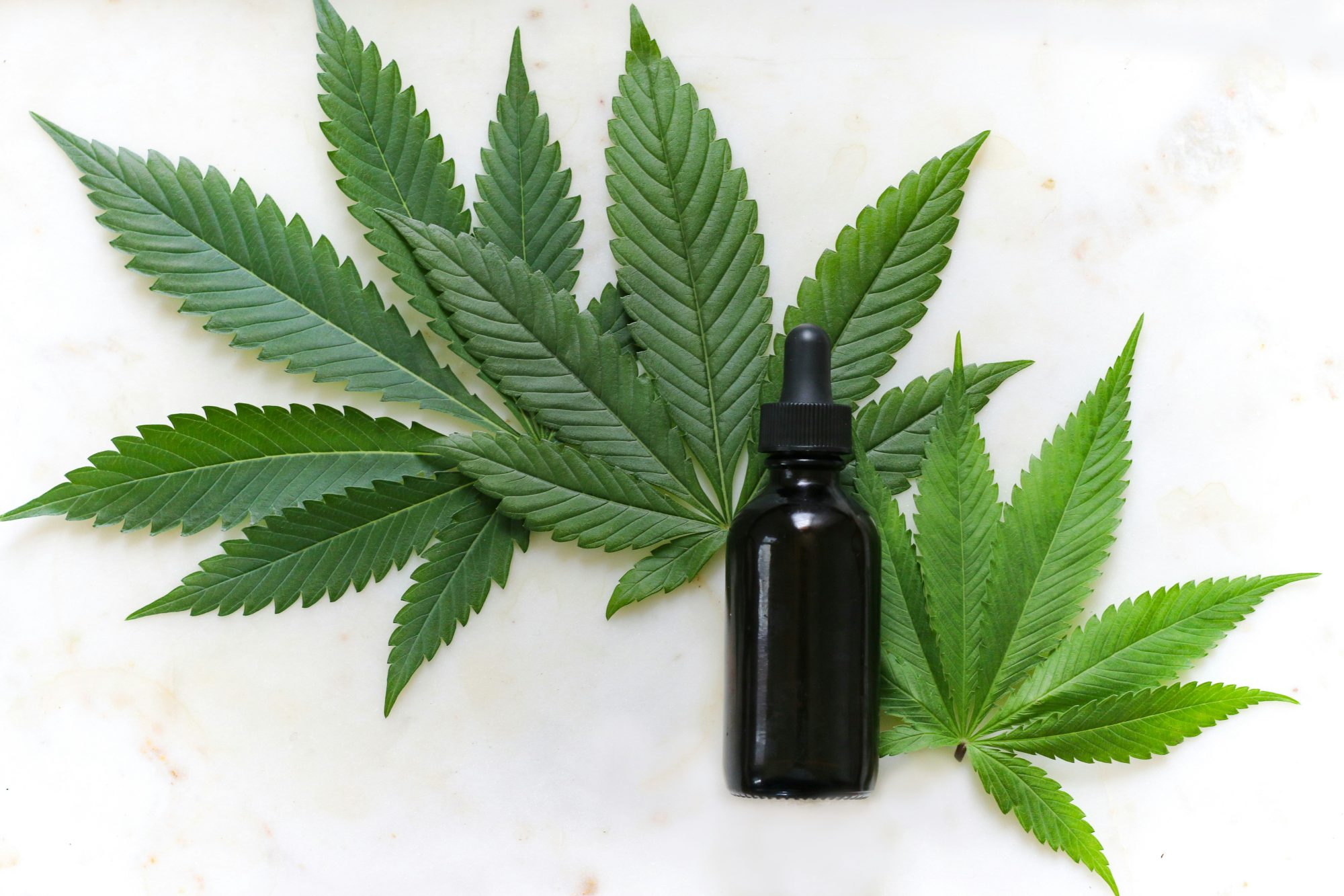 Bottle with medical marijuana - How to grow medical marijuana