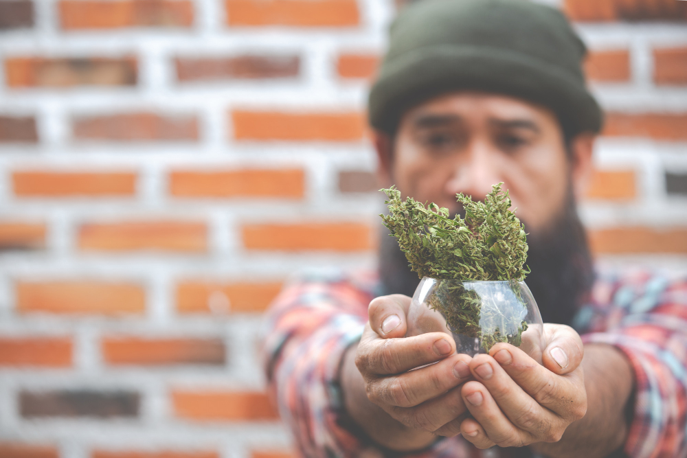 Man holding a glass jar filled with cannabis buds, symbolizing personal cultivation and compliance with smoking club requirements related to non-commercial cannabis production.