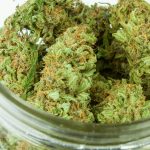 Where And How To Request CBD Cultivation License Spain