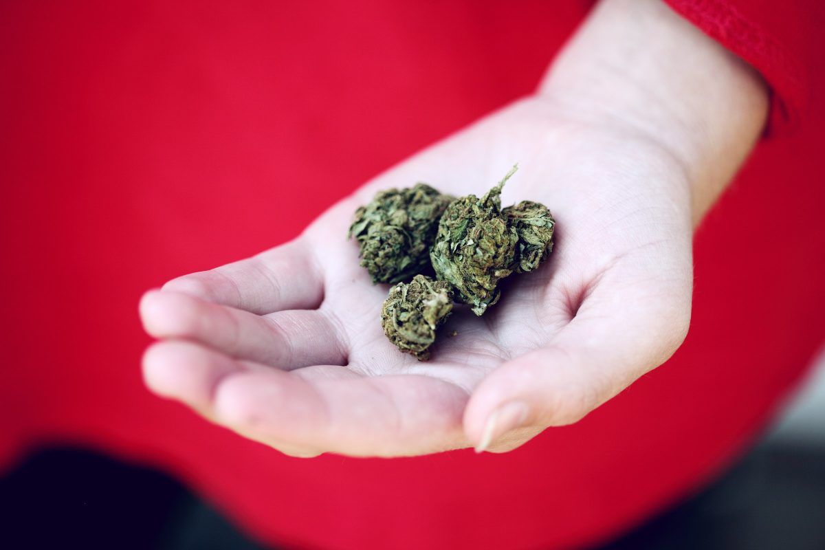 Marijuana in Hand - Medical Marijuana in New Zealand