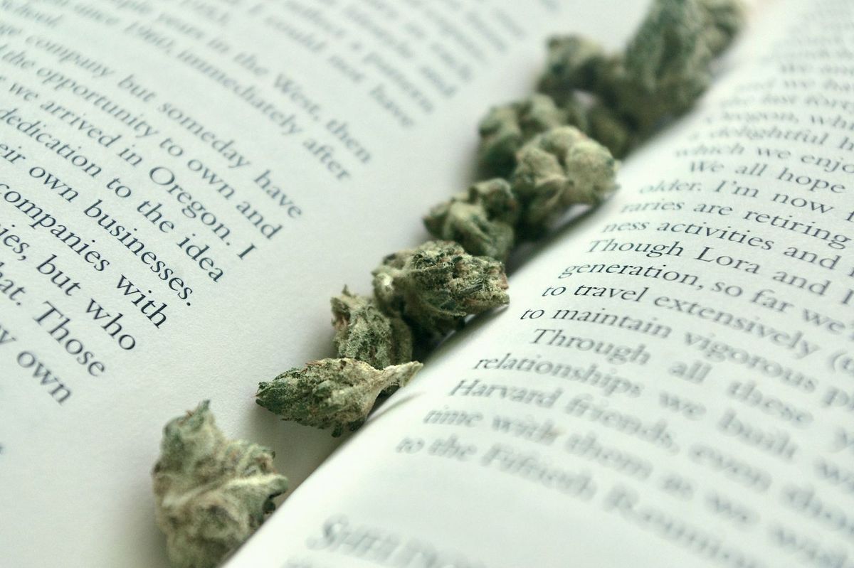 Book - Cannabis Medicine