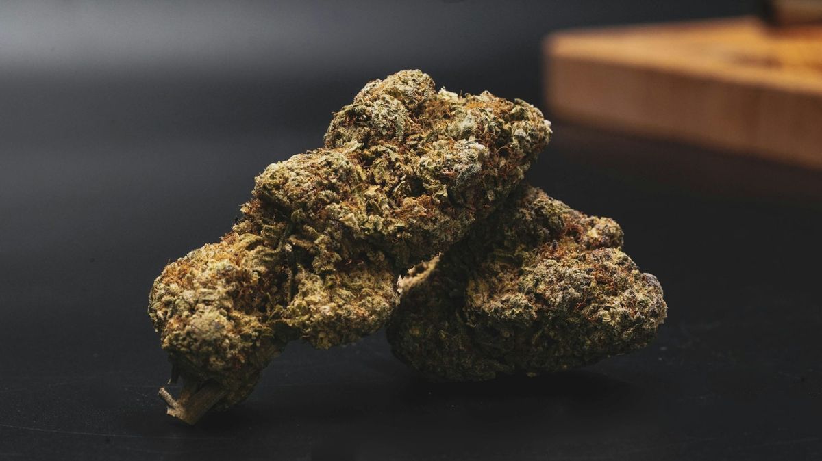 Legal Status - Marijuana Cultivation License in Thailand