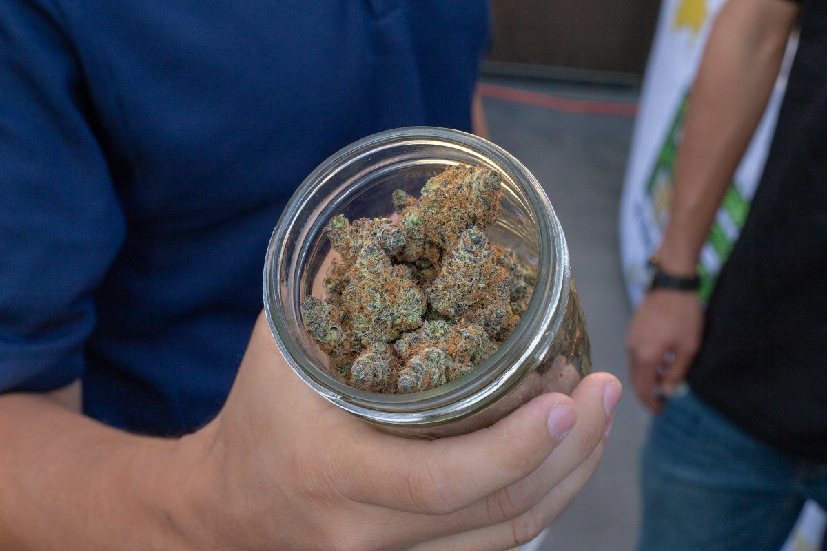 man holding jar of cannabis - Medicinal Cannabis Portugal