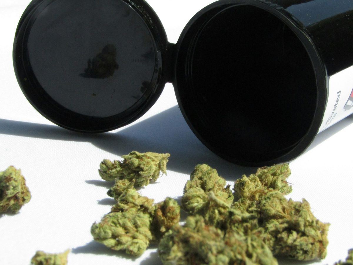 History - Portugal Cannabiscafe