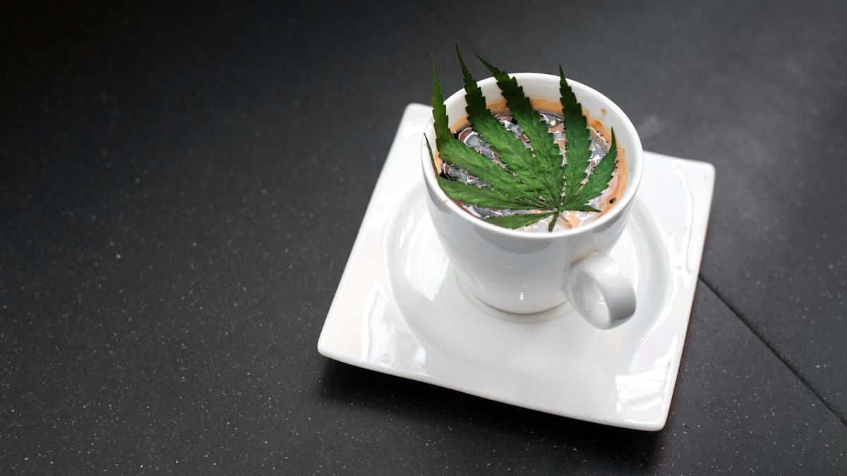 Cafes - Portugal Cannabiscafe
