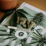 A Full List of Licensed Cannabis Companies Portugal