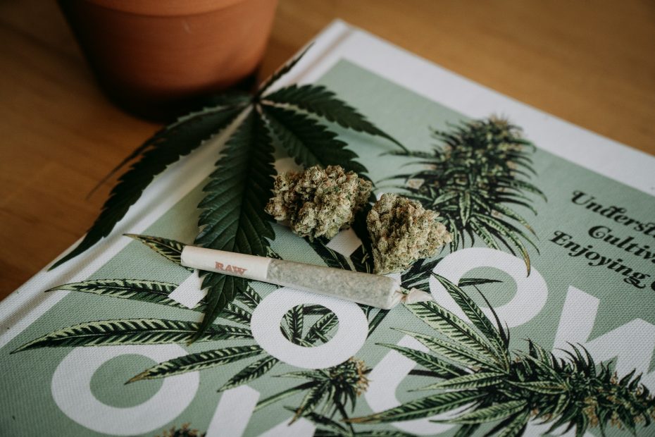 cannabis on top of newspaper - Cannabis Companies Portugal