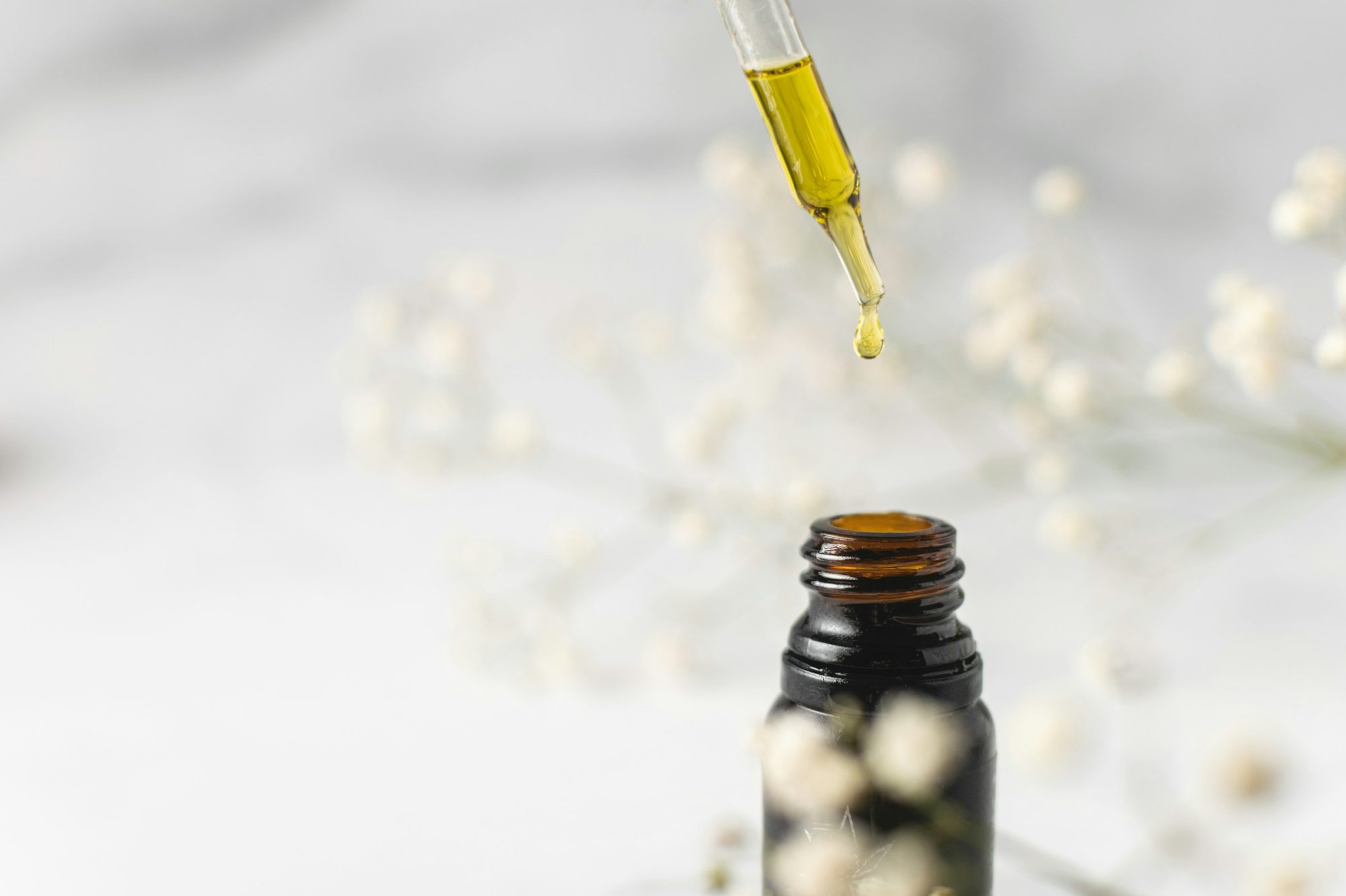 CBD Oil - Regulatory Compliance for Cannabis Growers in South Africa