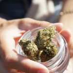 The Legal Framework Of Medical Cannabis South Africa