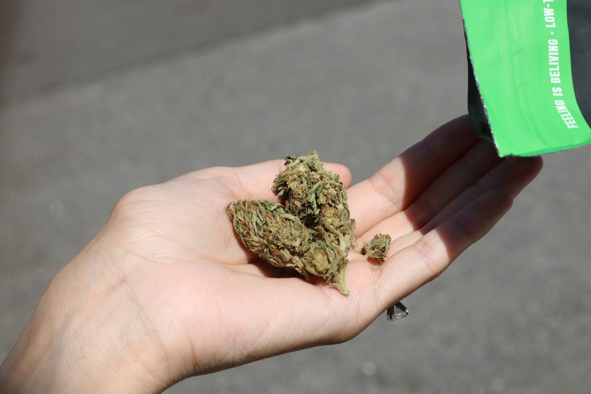 Importance of Certification - GACP certification for Medical Cannabis Growers in Uruguay