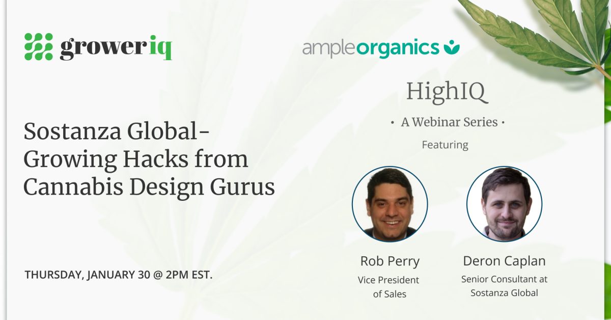 HighIQ webinar series - Sostanza Global- Growing Hacks from Cannabis Design Gurus