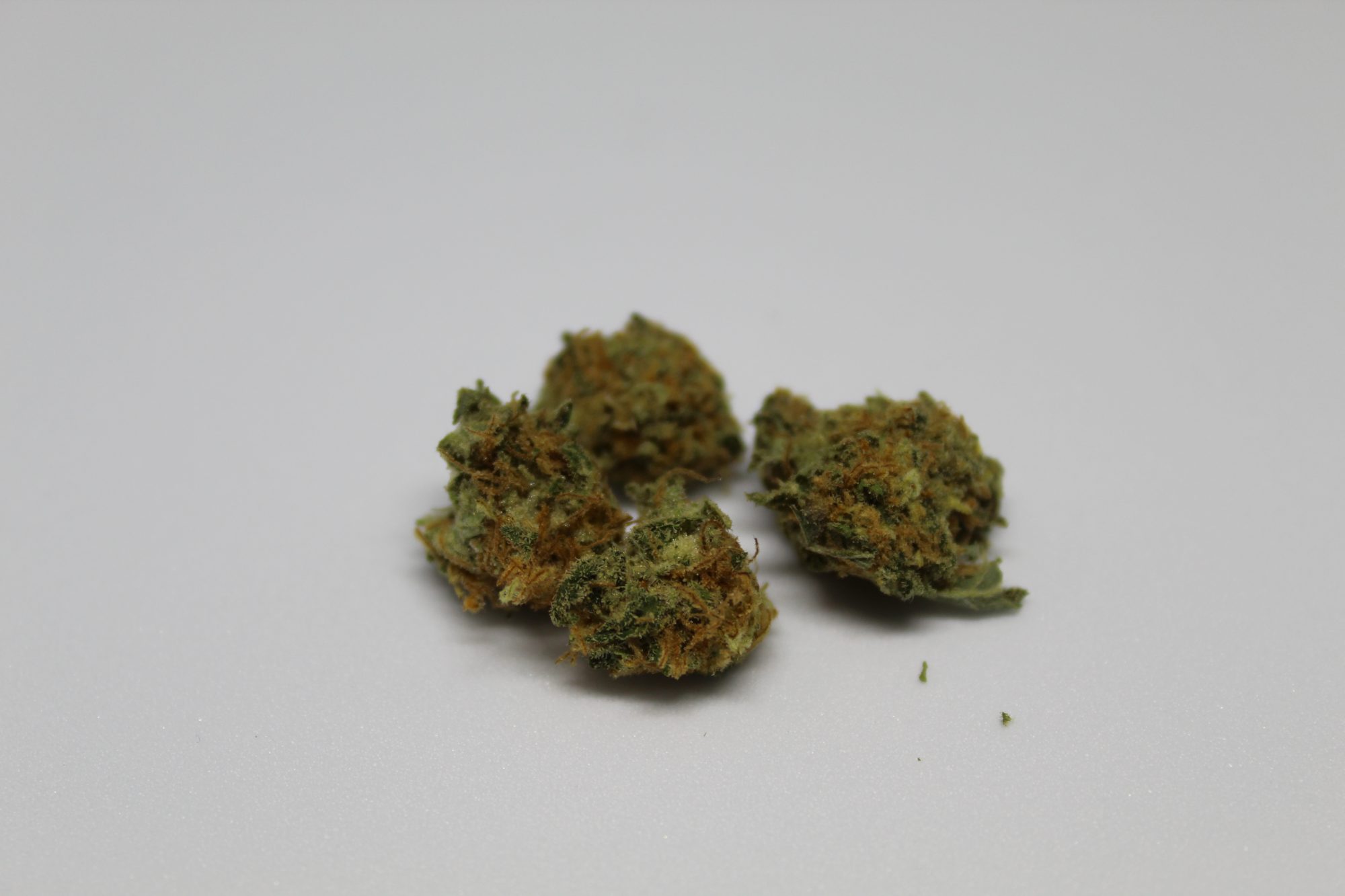 Close-up view of cannabis buds against a plain white background, representing the outcome of advanced cannabis seed sprouting techniques.