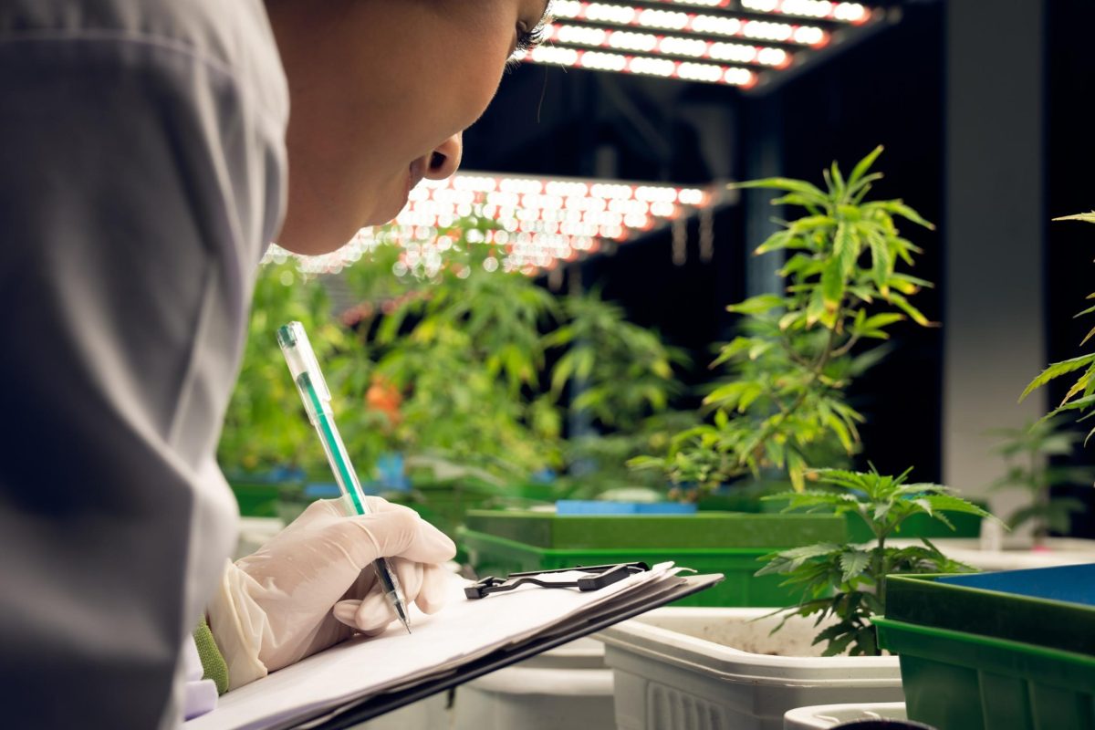 A close-up of a researcher taking notes on a clipboard in a cannabis cultivation facility, highlighting the importance of cannabis accounting software in tracking inventory and operational data.