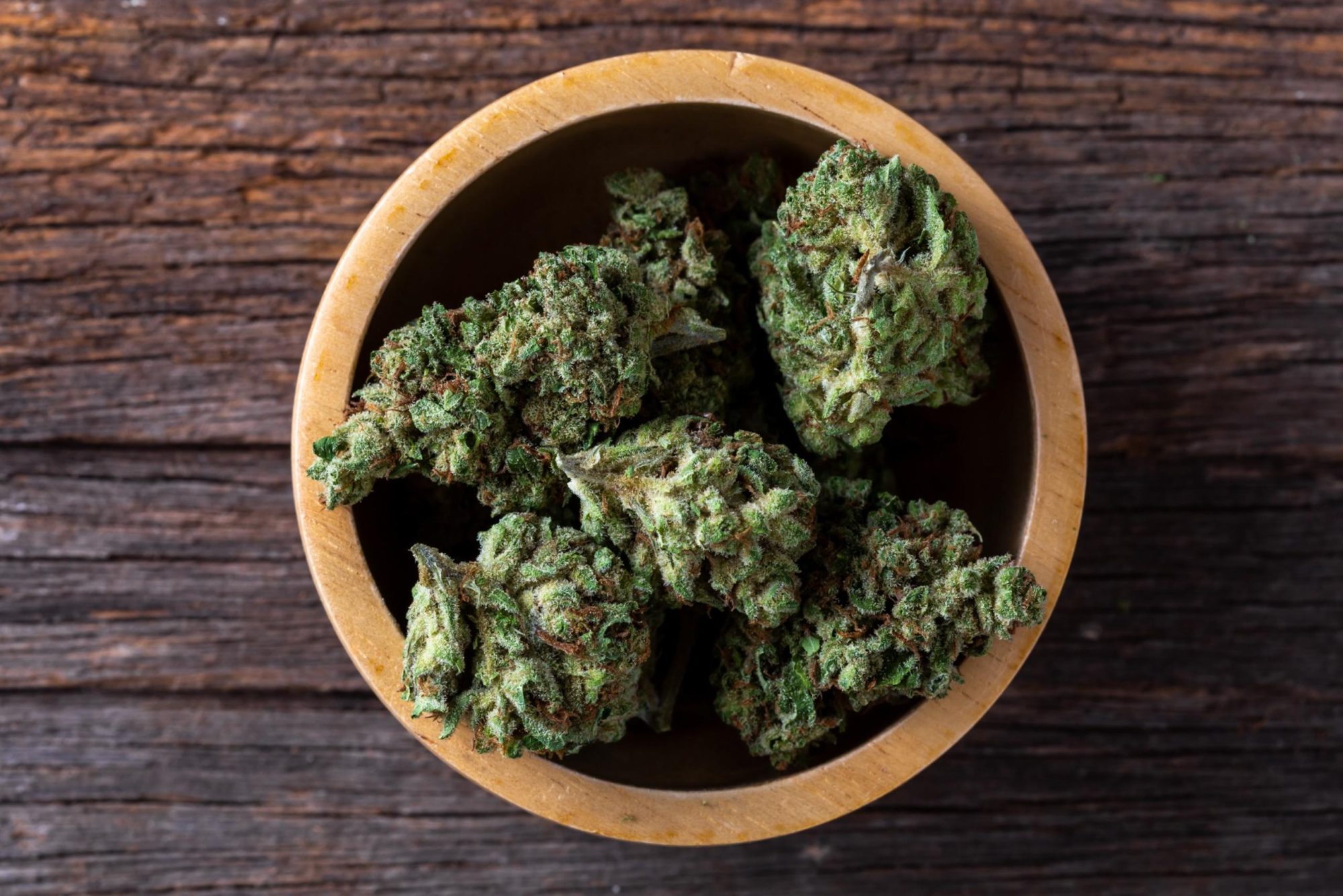 A wooden bowl filled with trimmed cannabis buds placed on a rustic wooden surface, representing the potential yield enhanced by the use of effective cannabis fertilizer.