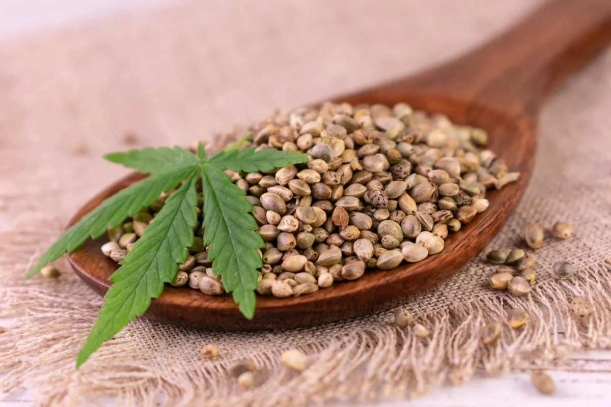 A wooden spoon filled with cannabis seeds, accompanied by a fresh green cannabis leaf. This represents the early growth stage before reaching the phase of when to harvest cannabis, emphasizing the lifecycle of the plant.