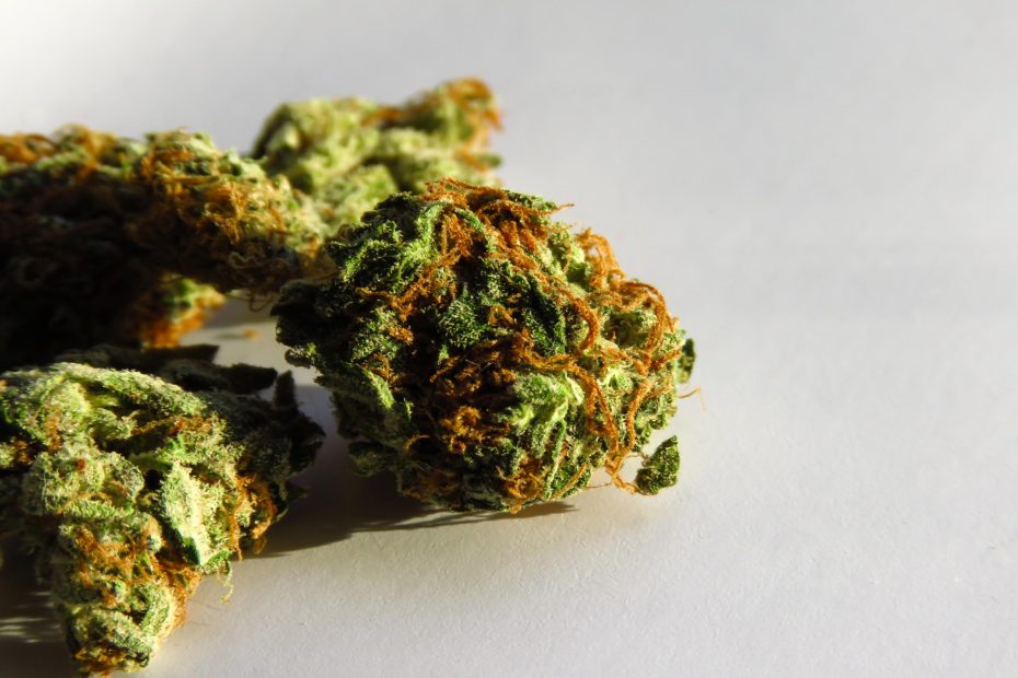 High-quality image of a cannabis bud in a setting emphasizing its bloom, optimized for educational content on bloom for cannabis.