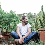 Is Marijuana Legal in Italy? A Comprehensive Guide to Cannabis Laws