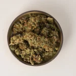 Mastering the Blooming Phase: Essential Tips for Thriving Cannabis Crops
