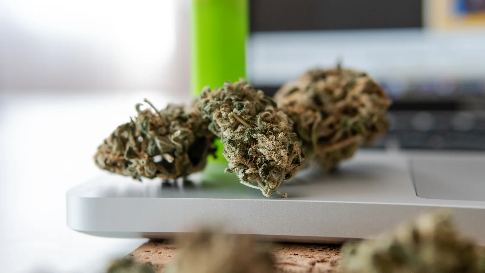Close-up of dried blooming cannabis buds resting on a laptop, with a green container in the background. The image suggests the processing and analysis of cannabis products, likely for medical or recreational purposes.